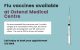 flu vaccine